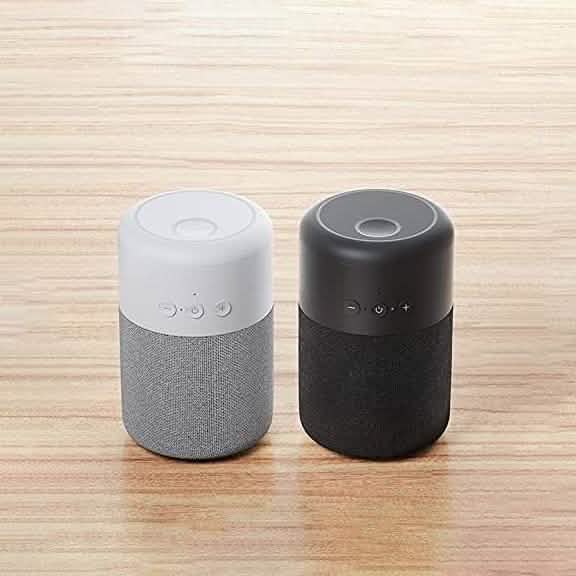 Bluetooth-Lautsprecher und kabellose Ohrhörer im Set