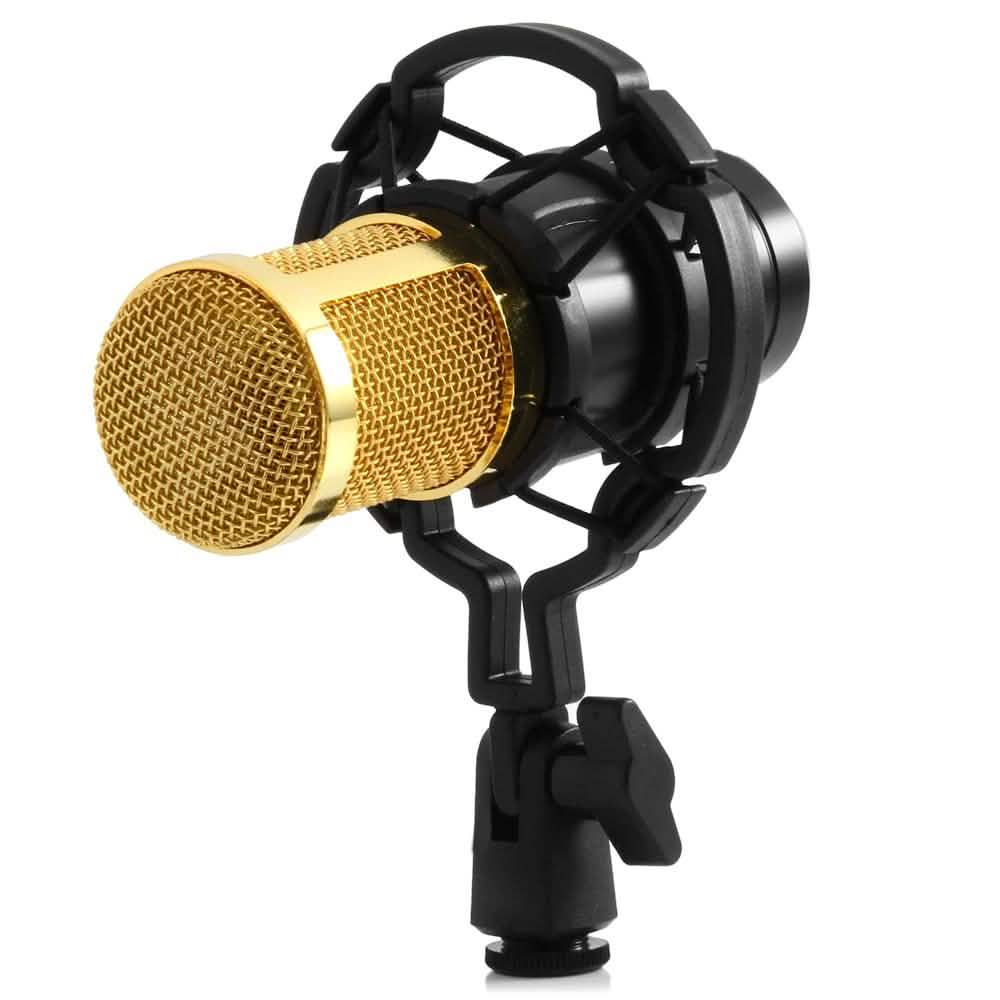 BM-800 Kondensator-Aufnahmemikrofon mit Shock Mount für den Rundfunk