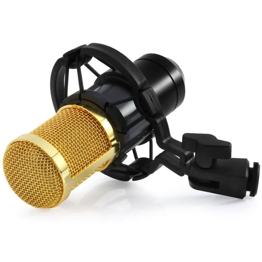 BM-800 Kondensator-Aufnahmemikrofon mit Shock Mount für den Rundfunk