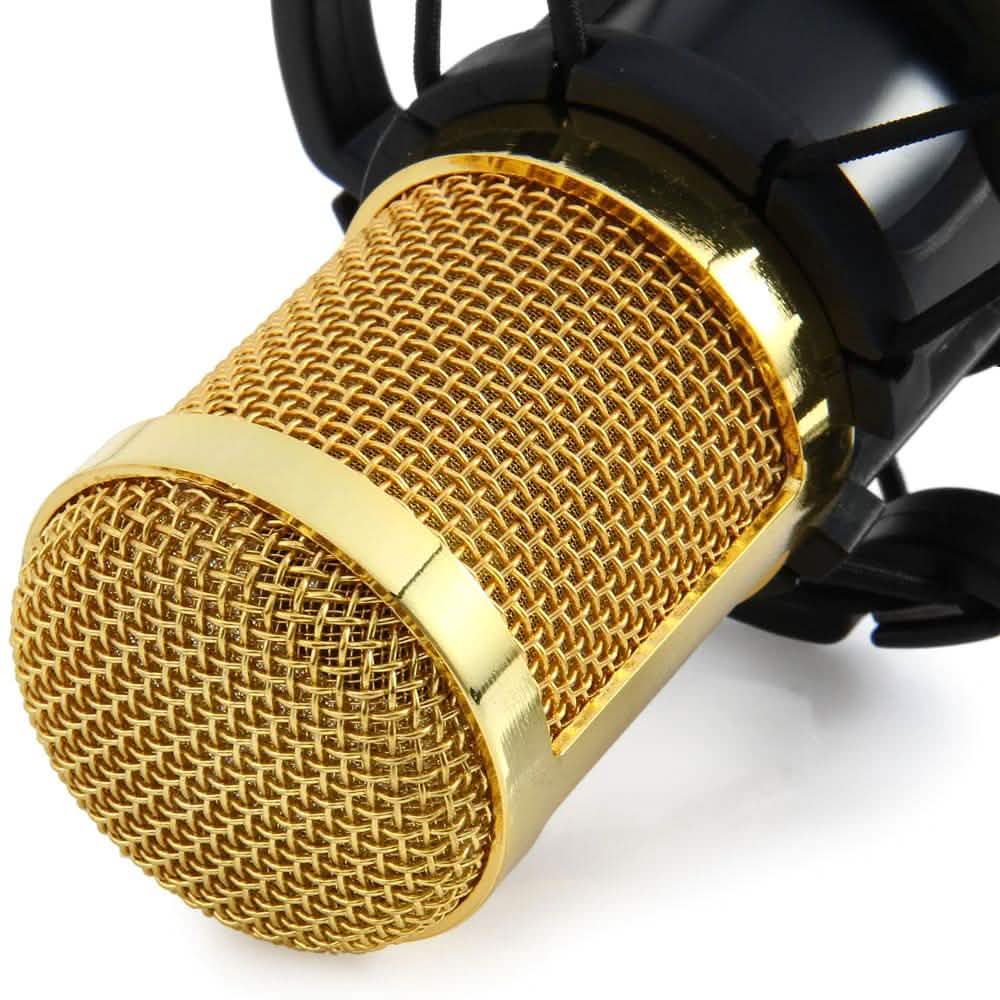 BM-800 Kondensator-Aufnahmemikrofon mit Shock Mount für den Rundfunk
