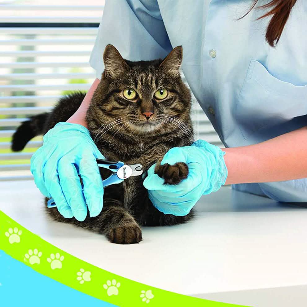 Katzen- und Hundekrallenscheren und -trimmer mit Sicherheitsschutz