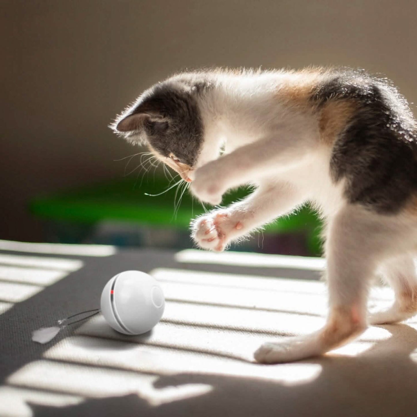 Katzen-Teaser-Ball, automatisch rotierendes interaktives Katzenspielzeug für Bewegung