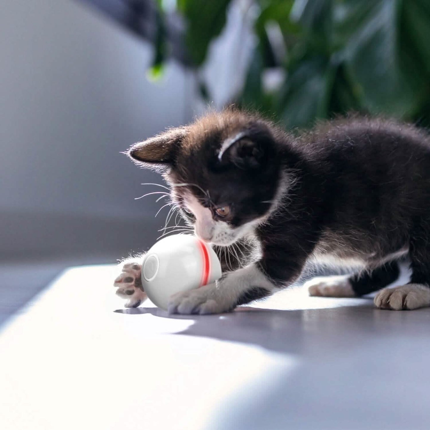 Katzen-Teaser-Ball, automatisch rotierendes interaktives Katzenspielzeug für Bewegung