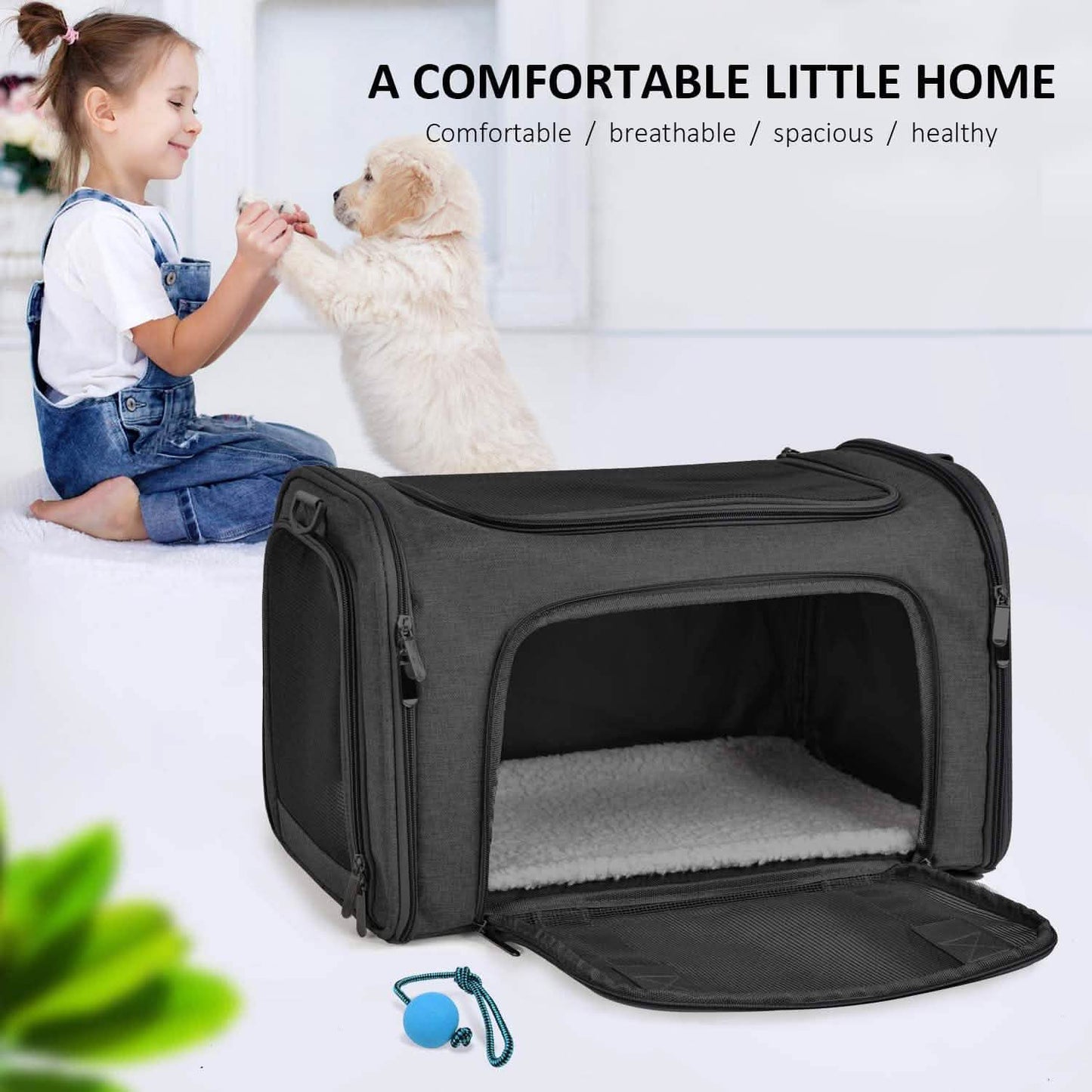Zusammenklappbare Katzen-Hundebox