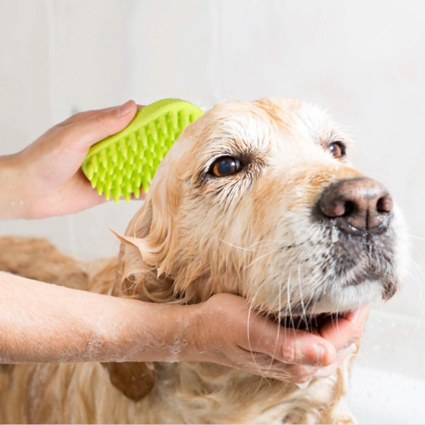 Hundebadebürste rutschfest Haustierpflege Duschsilikon-Massagekamm