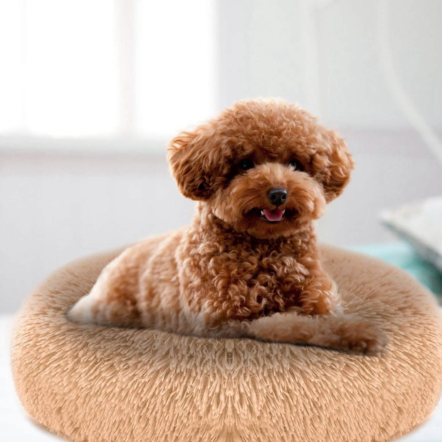 Hundekuschelnest Sofabettkissen