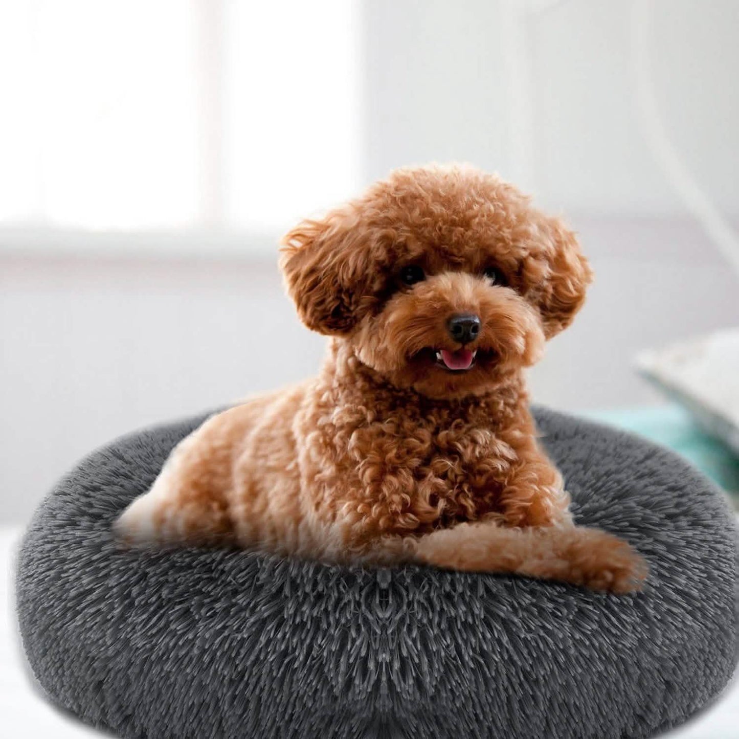 Hundekuschelnest Sofabettkissen