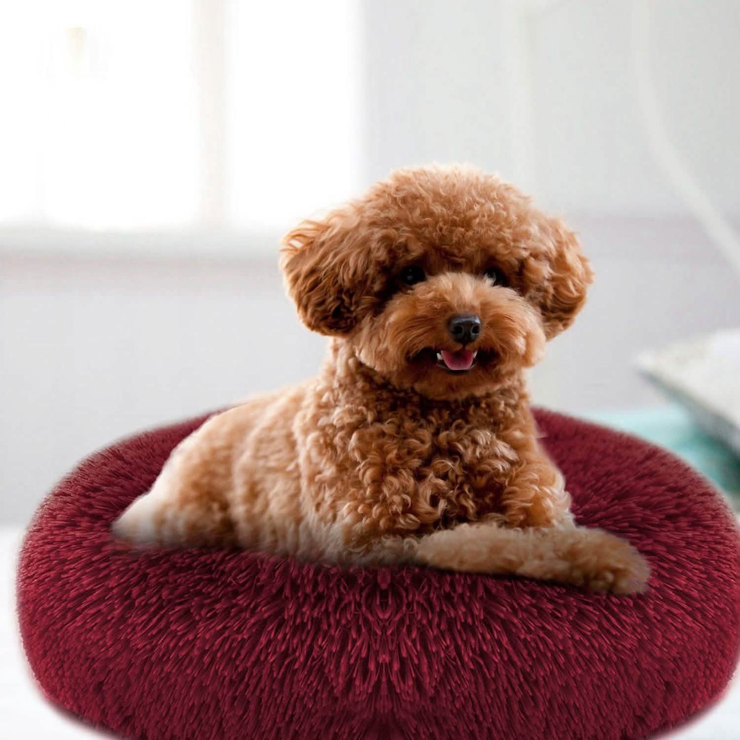 Hundekuschelnest Sofabettkissen