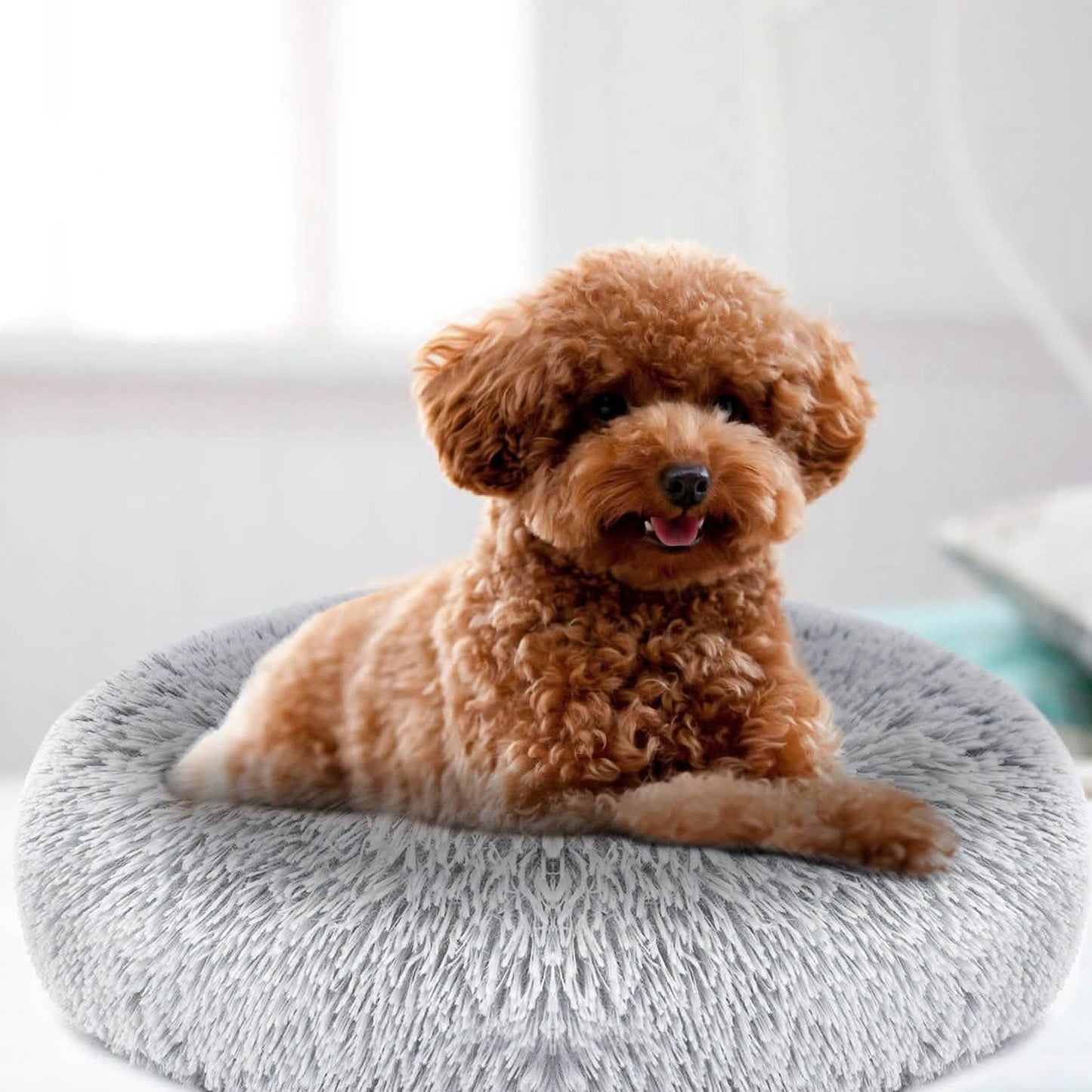 Hundekuschelnest Sofabettkissen