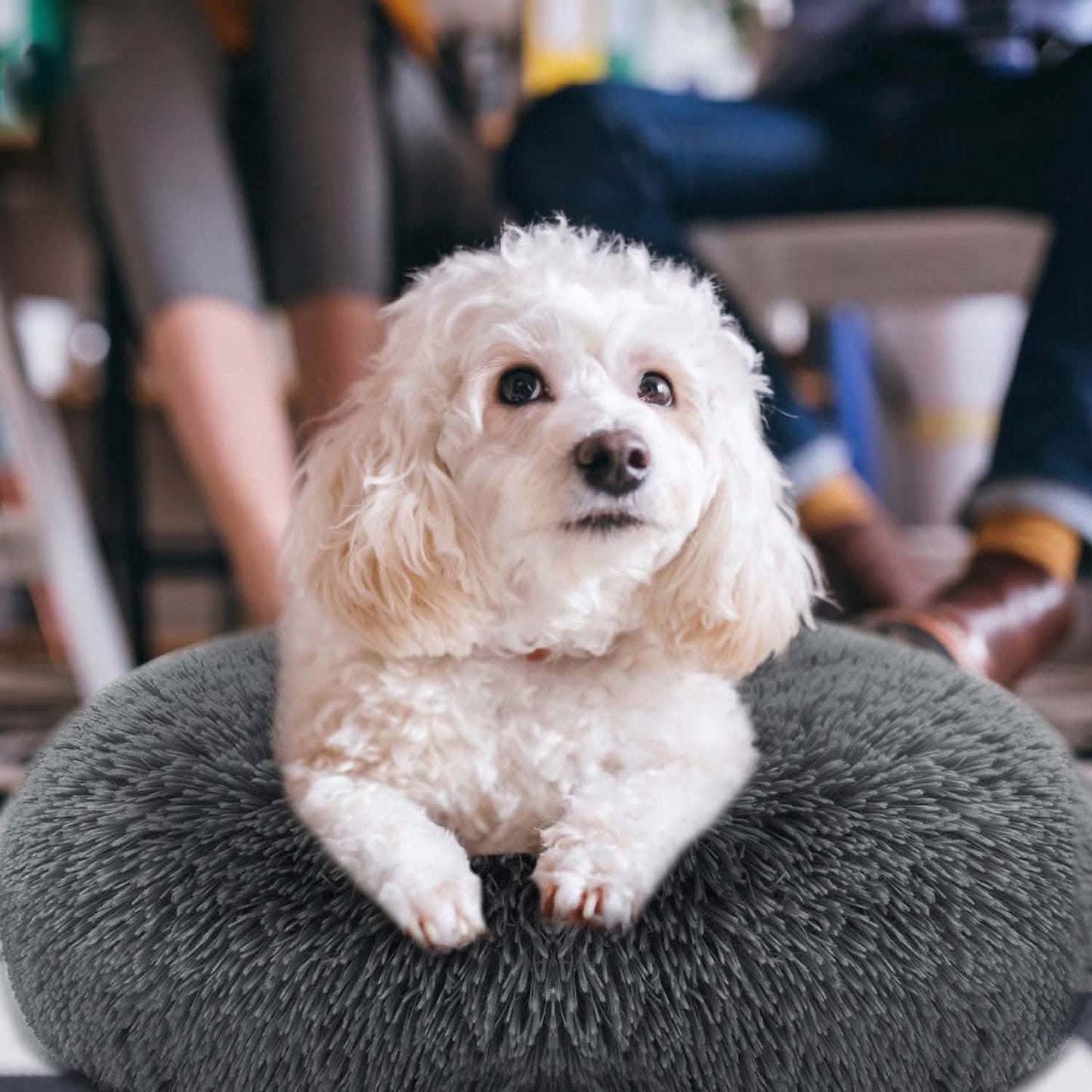 Hundekuschelnest Sofabettkissen