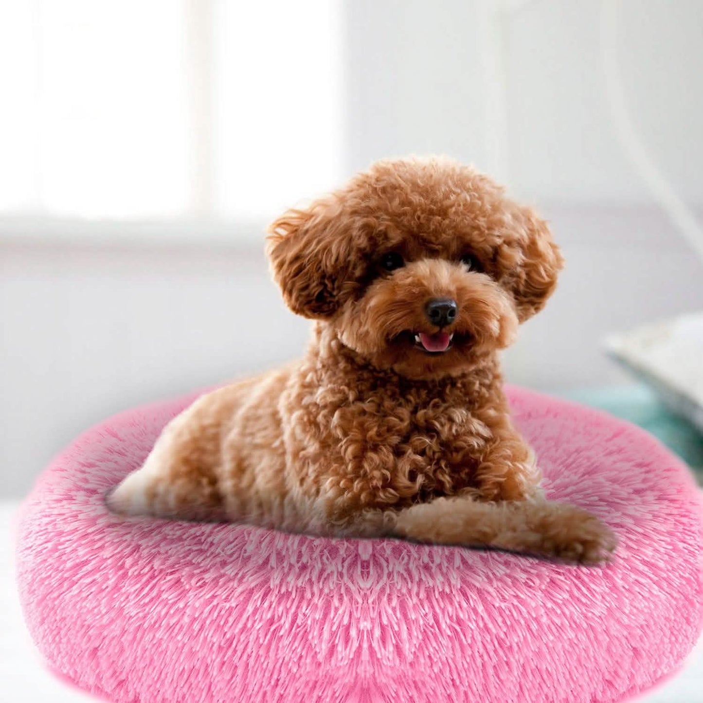 Hundekuschelnest Sofabettkissen