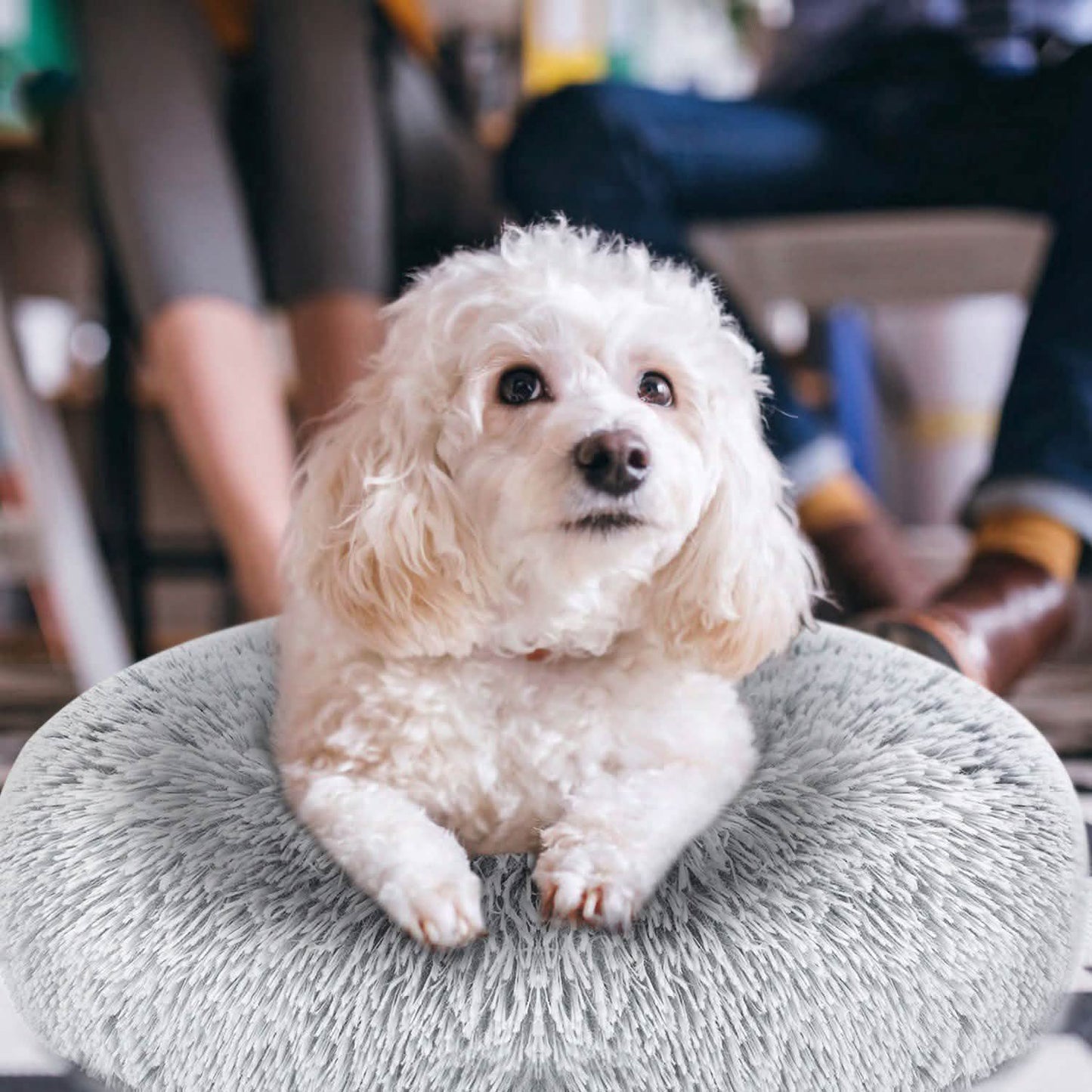 Hundekuschelnest Sofabettkissen