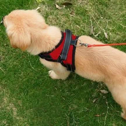 Hundegeschirr, weich, verstellbar
