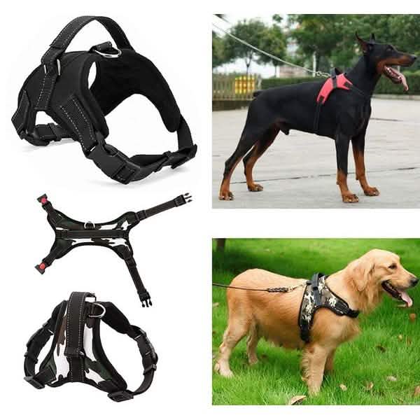 Hundegeschirr, weich, verstellbar
