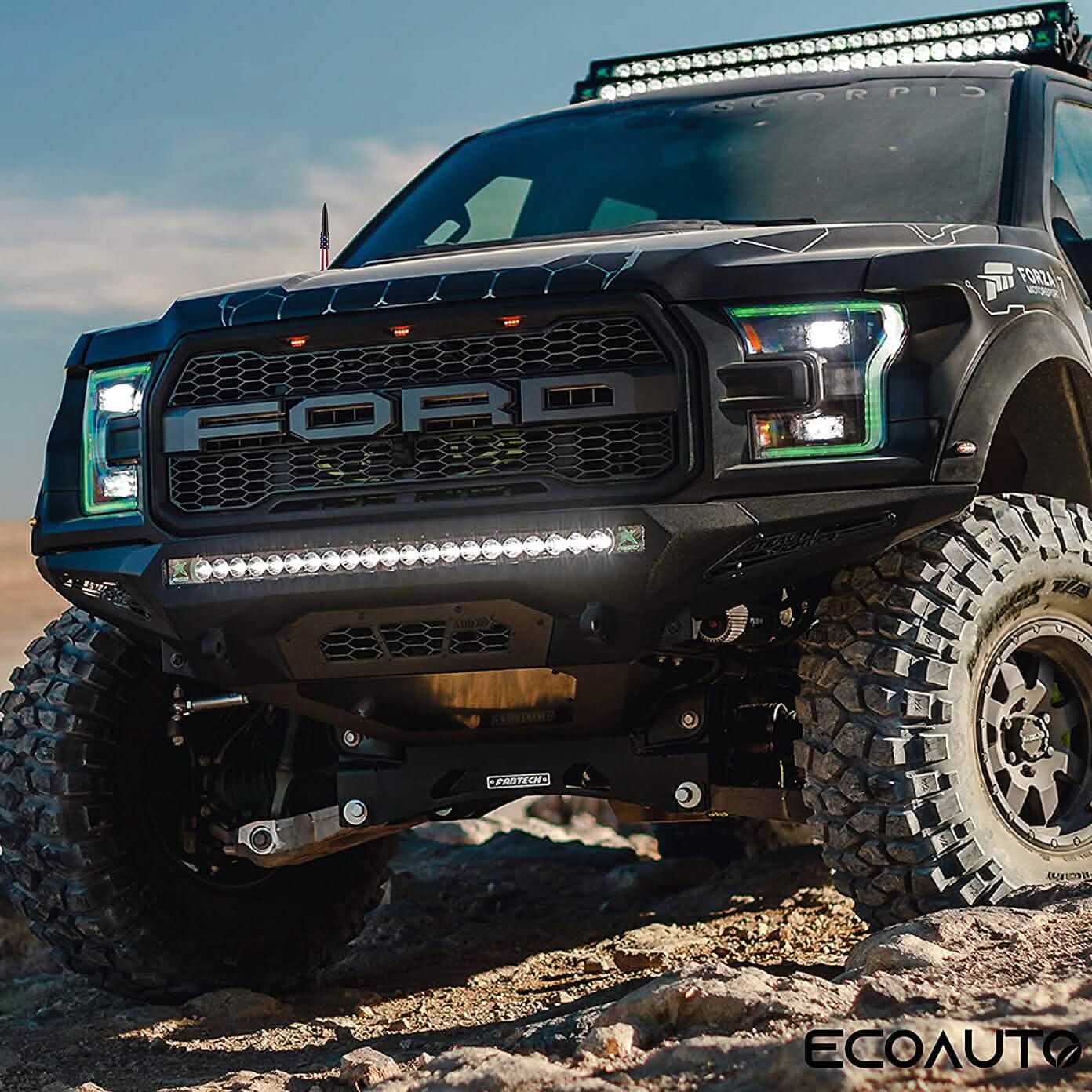 EcoAuto Badass Antennenersatz für Dodge RAM und Ford F-Serie