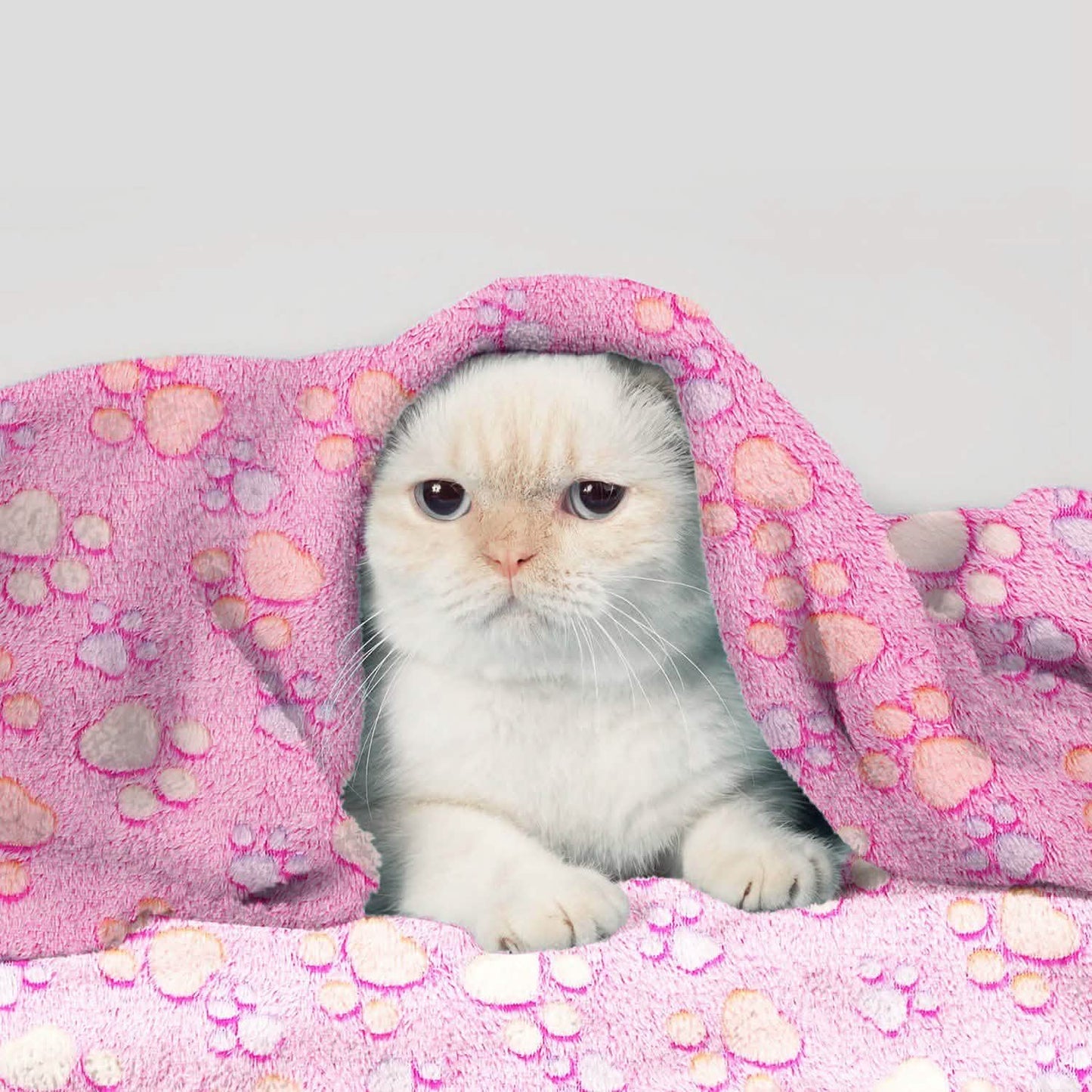 Flauschige Hunde- und Katzendecke