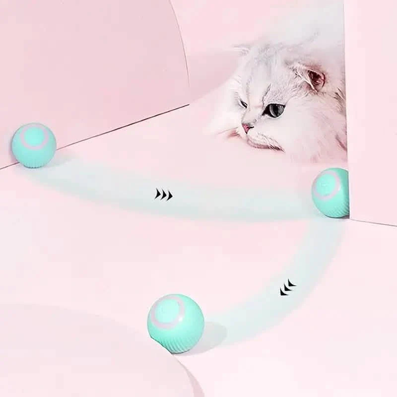 Fundmeldung: Intelligentes interaktives Katzenspielzeug