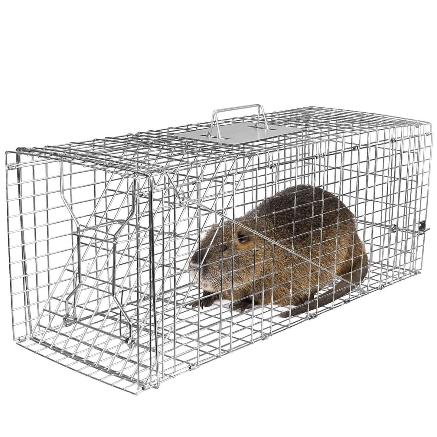 Lebendfalle aus verzinktem Draht, zusammenklappbar, für humane Tierfang-Freilassung