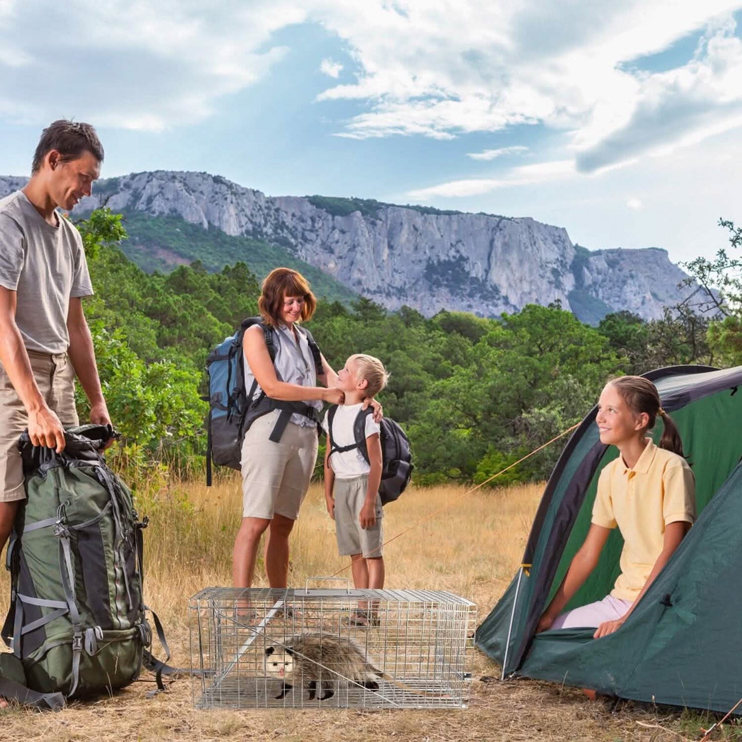 Lebendfalle aus verzinktem Draht, zusammenklappbar, für humane Tierfang-Freilassung