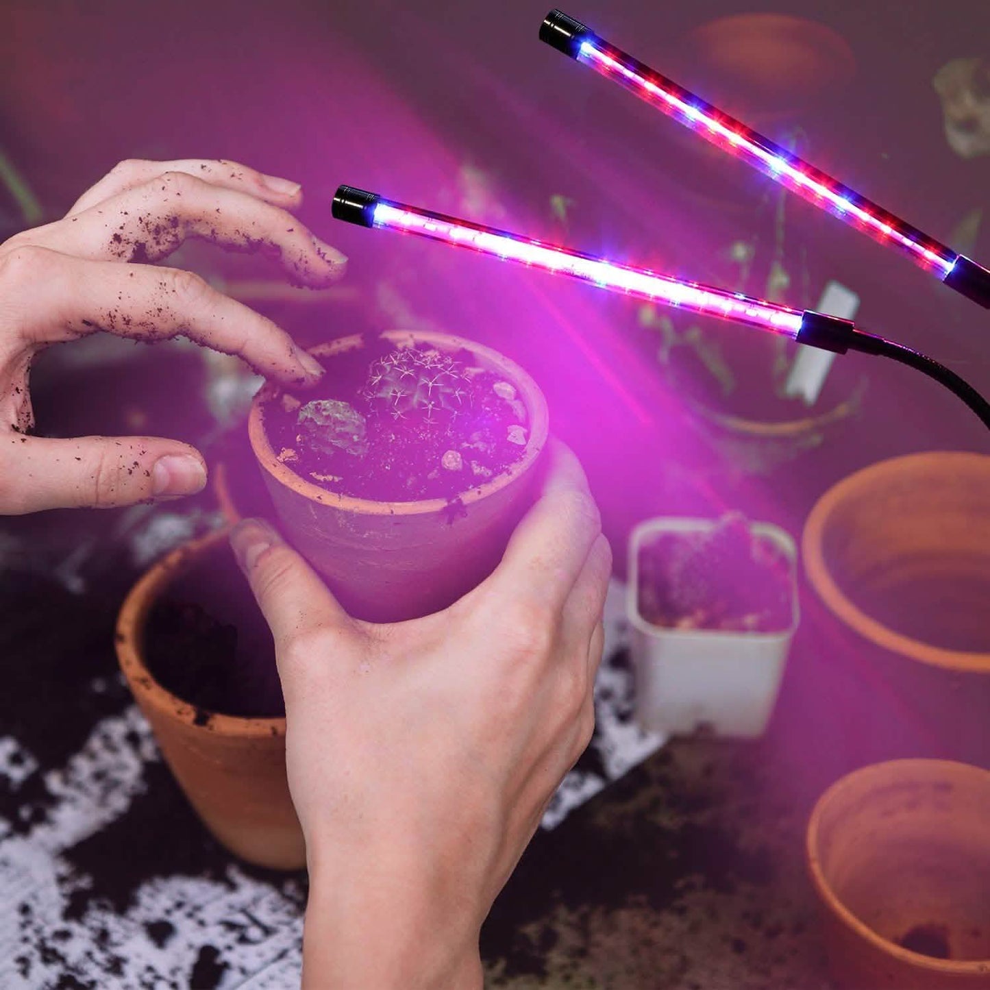 LED Pflanzenlampe mit Doppelköpfen