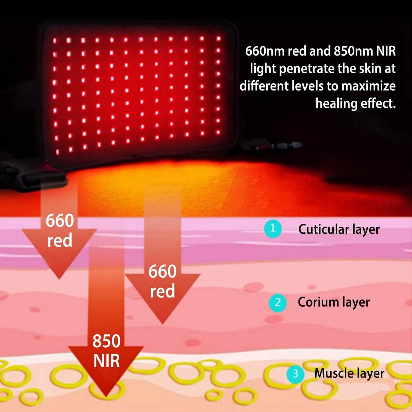 LED-Rotlichttherapie-Gürtel
