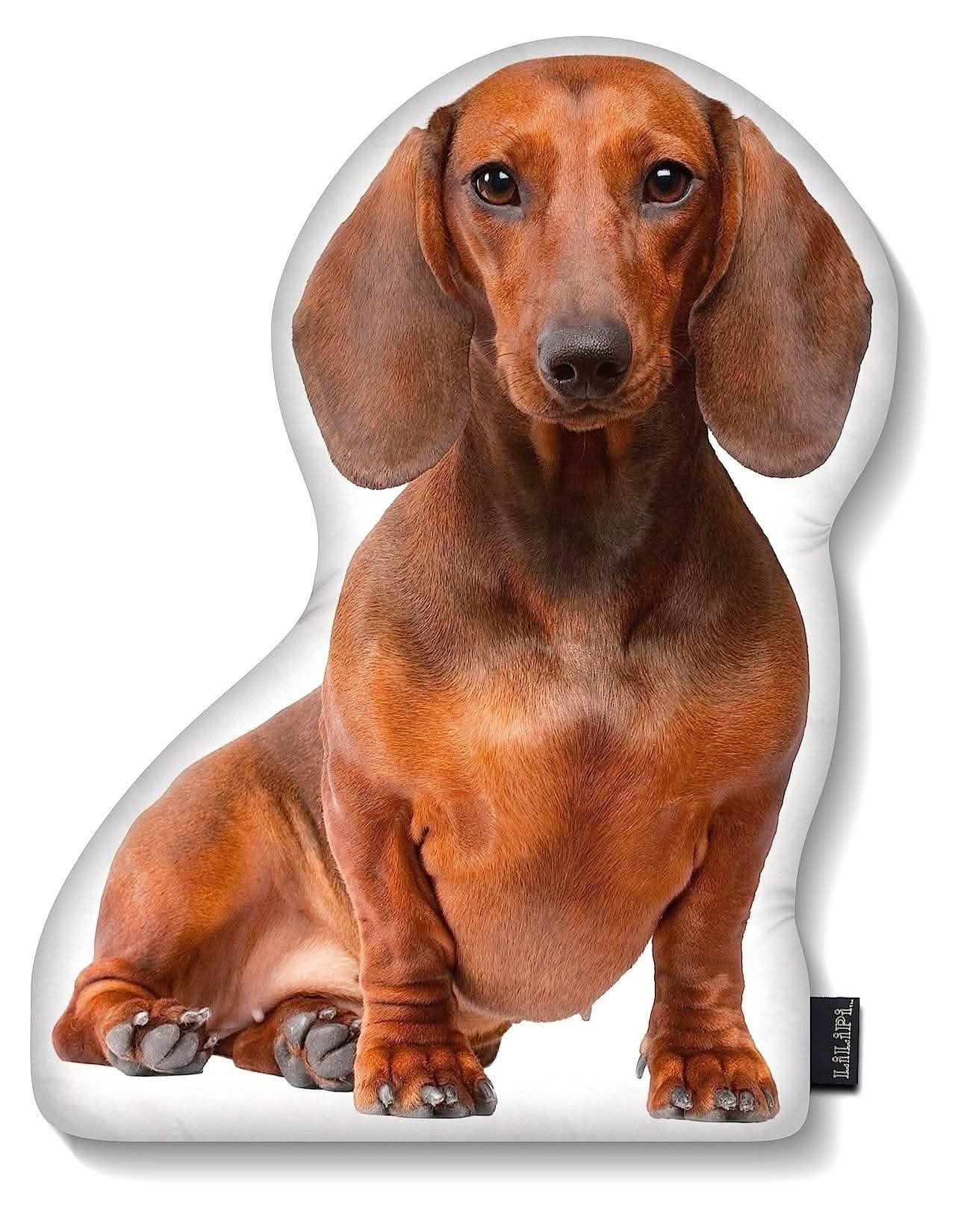 LiLiPi Hundekissen in Hundeform – verschiedene Ausführungen
