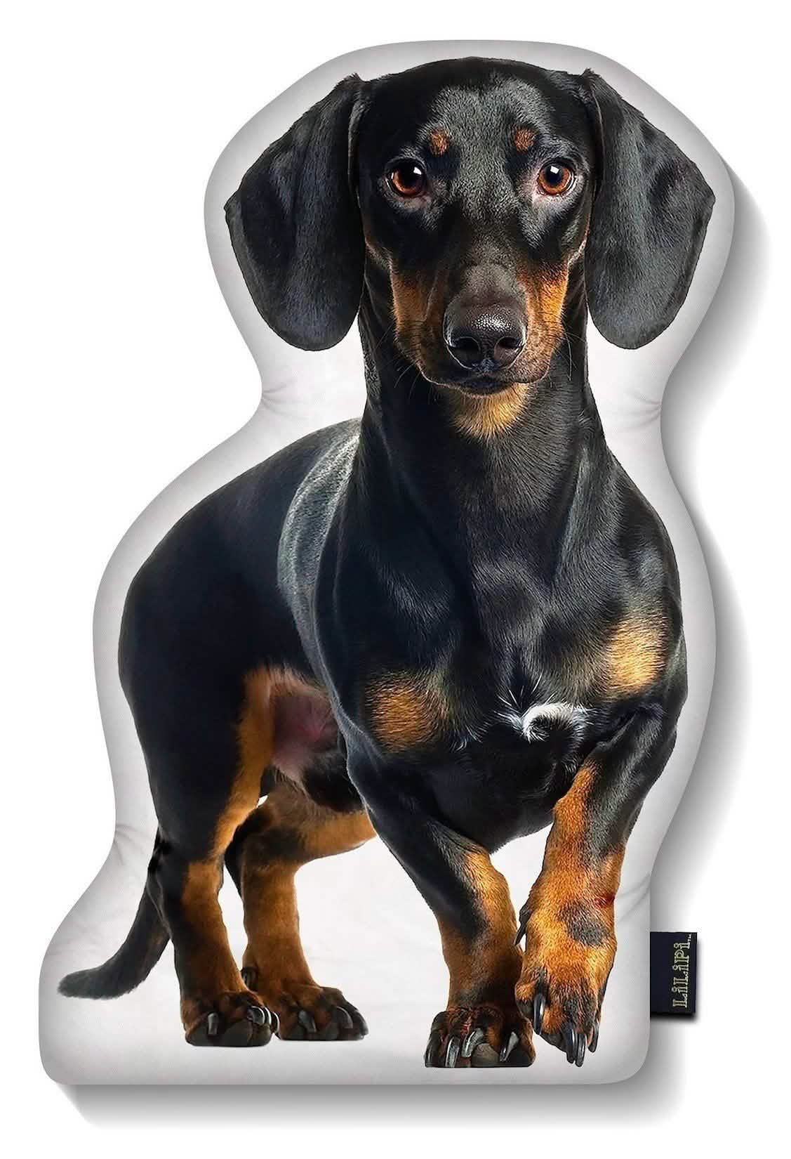 LiLiPi Hundekissen in Hundeform – verschiedene Ausführungen