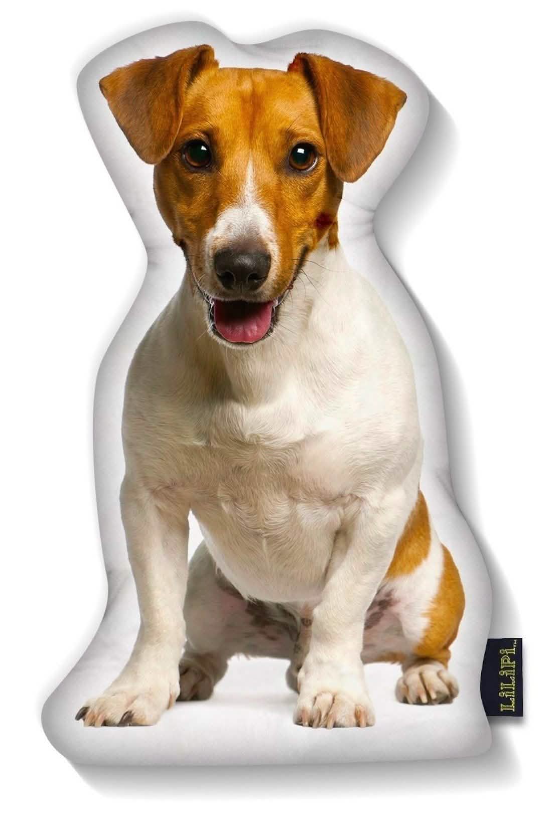 LiLiPi Hundekissen in Hundeform – verschiedene Ausführungen