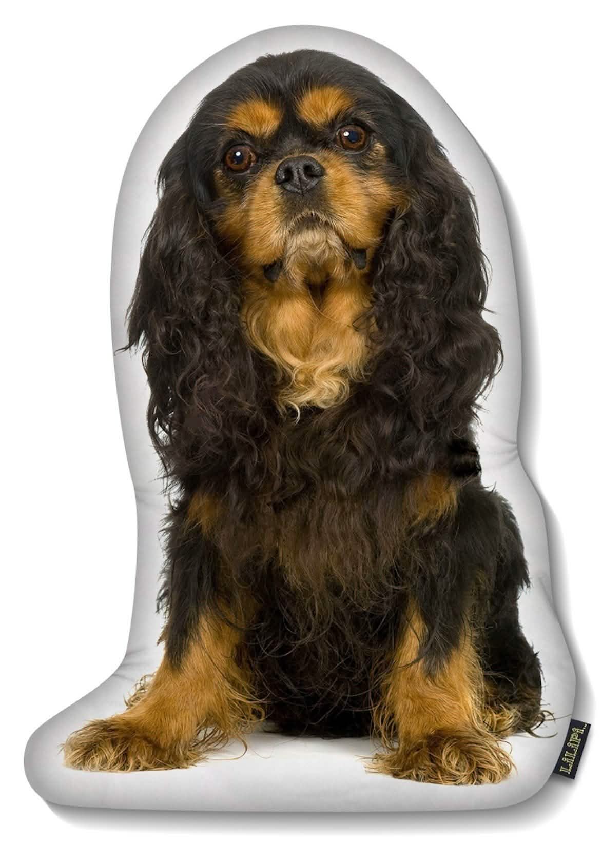 LiLiPi Hundekissen in Hundeform – verschiedene Ausführungen