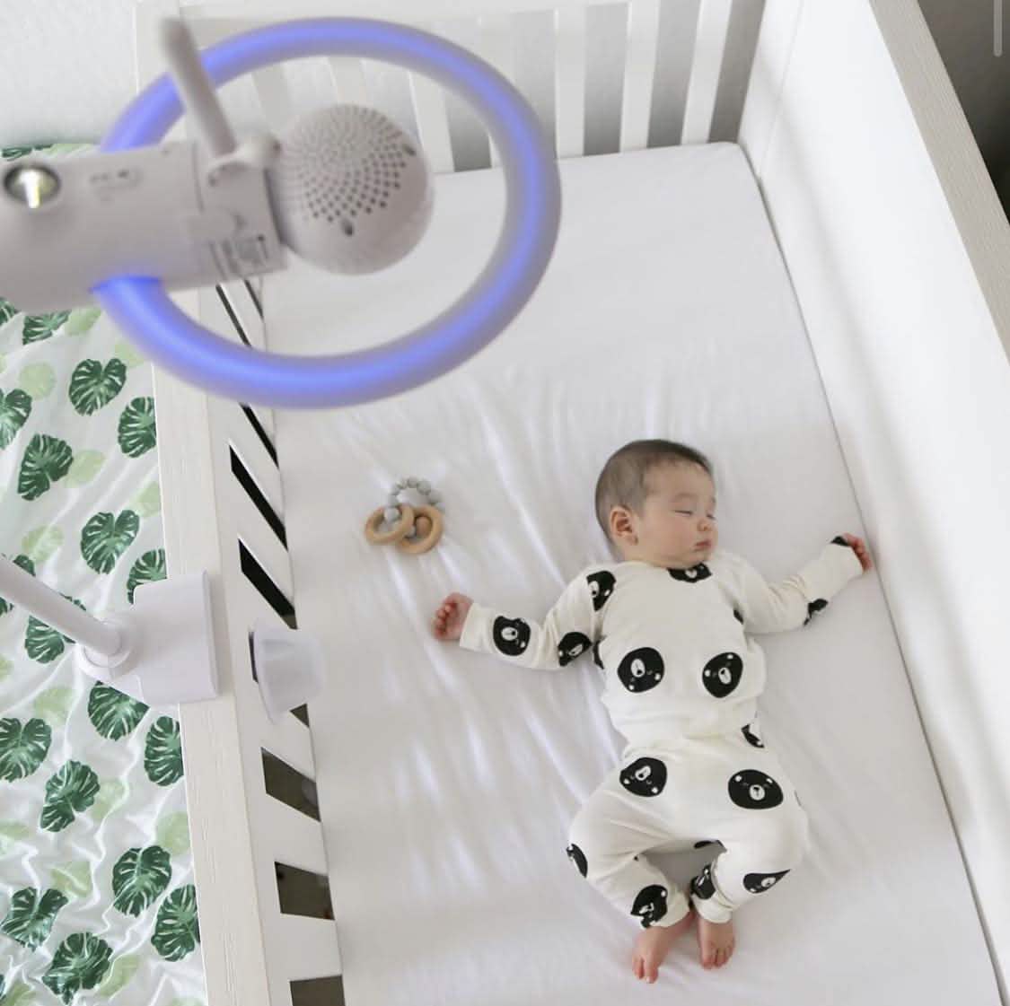 Motorola Halo+ Video-Babyphone – Säuglings-WLAN-Kamera mit Befestigung an der Krippe – 4,3-Zoll-Farbdisplay mit Infrarot-Nachtsicht und Gegensprechfunktion (generalüberholt)