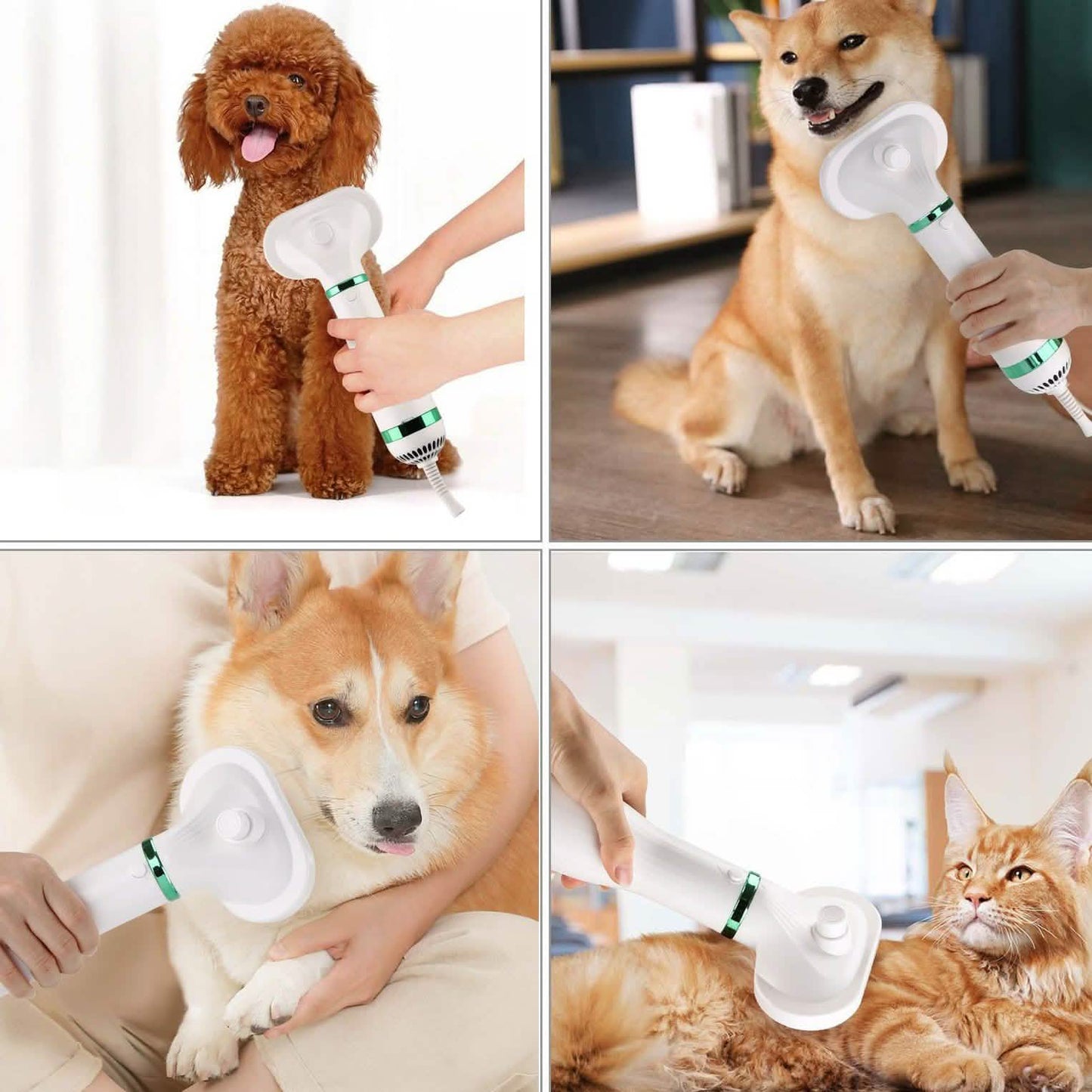 Ownpets 2-in-1 Haustierfön, tragbar