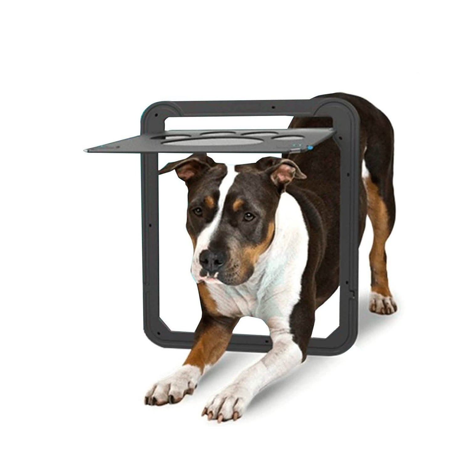 OWNPETS Haustier-Hundeklappe mit Magnetverschluss für Fliegengittertüren