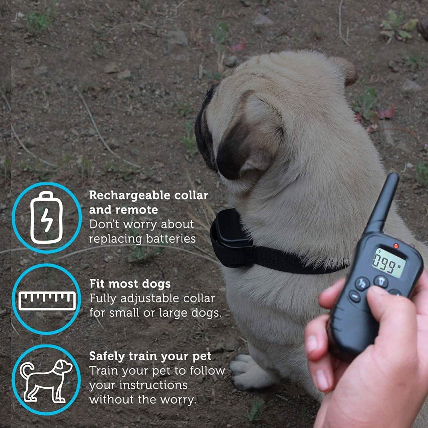 Paws & Pals Teletakt für Hunde