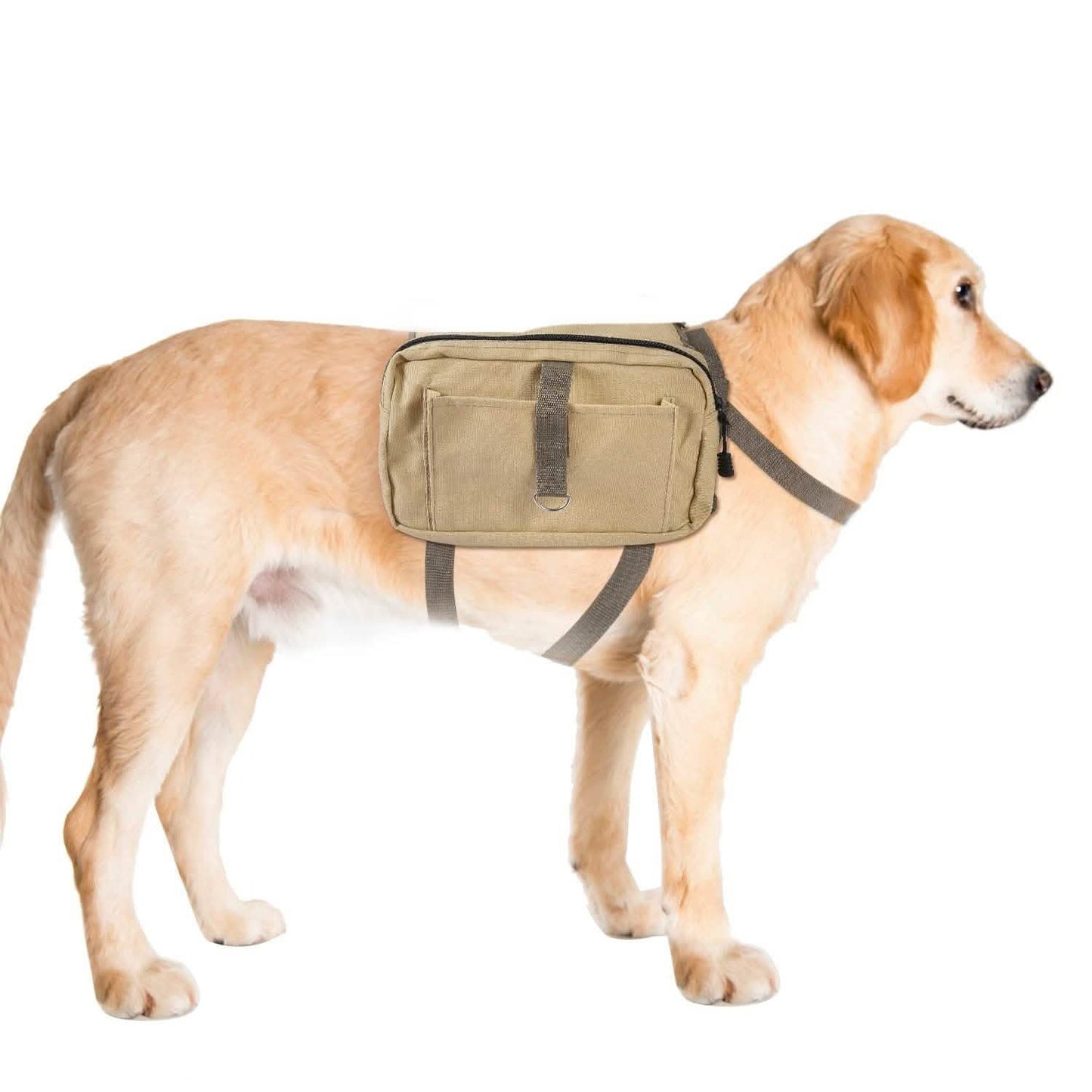 Hunde-Rucksack Wanderrucksack Campingtasche Satteltasche