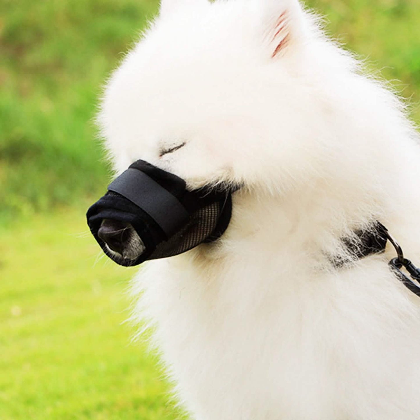 Haustier Hund Maulkorb Verstellbare Hundemaulkorb