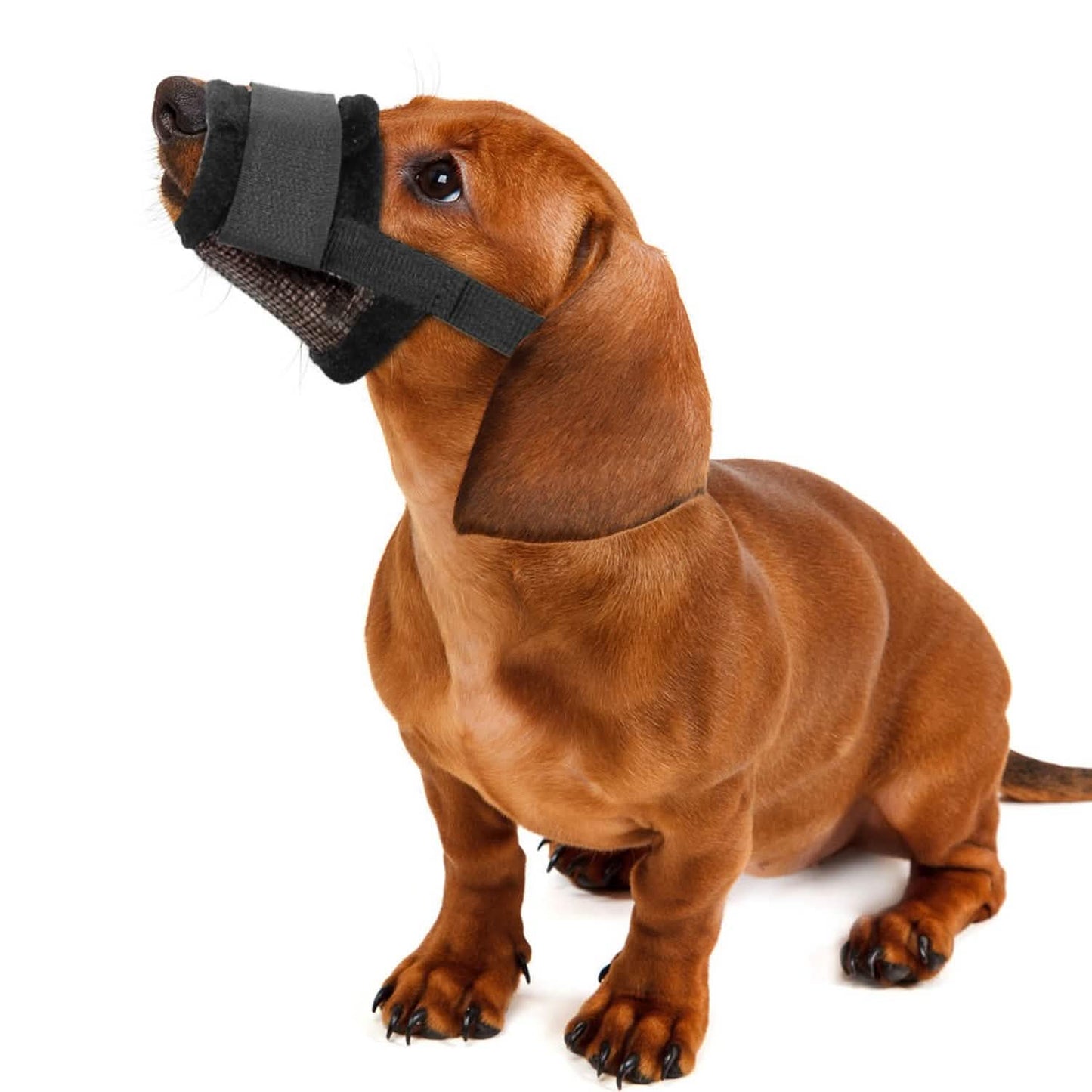 Haustier Hund Maulkorb Verstellbare Hundemaulkorb