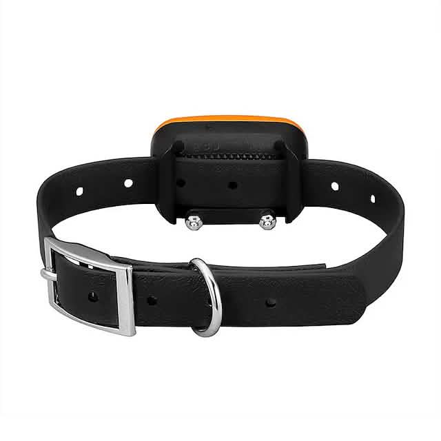 Hundehalsband mit Fernbedienung