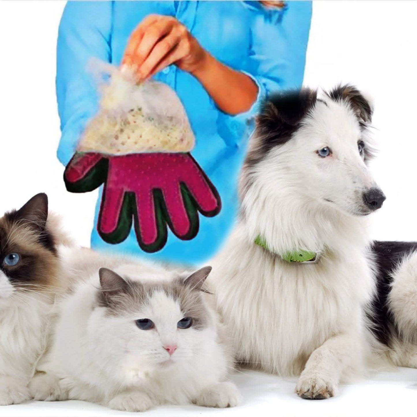 Tierpflegehandschuh