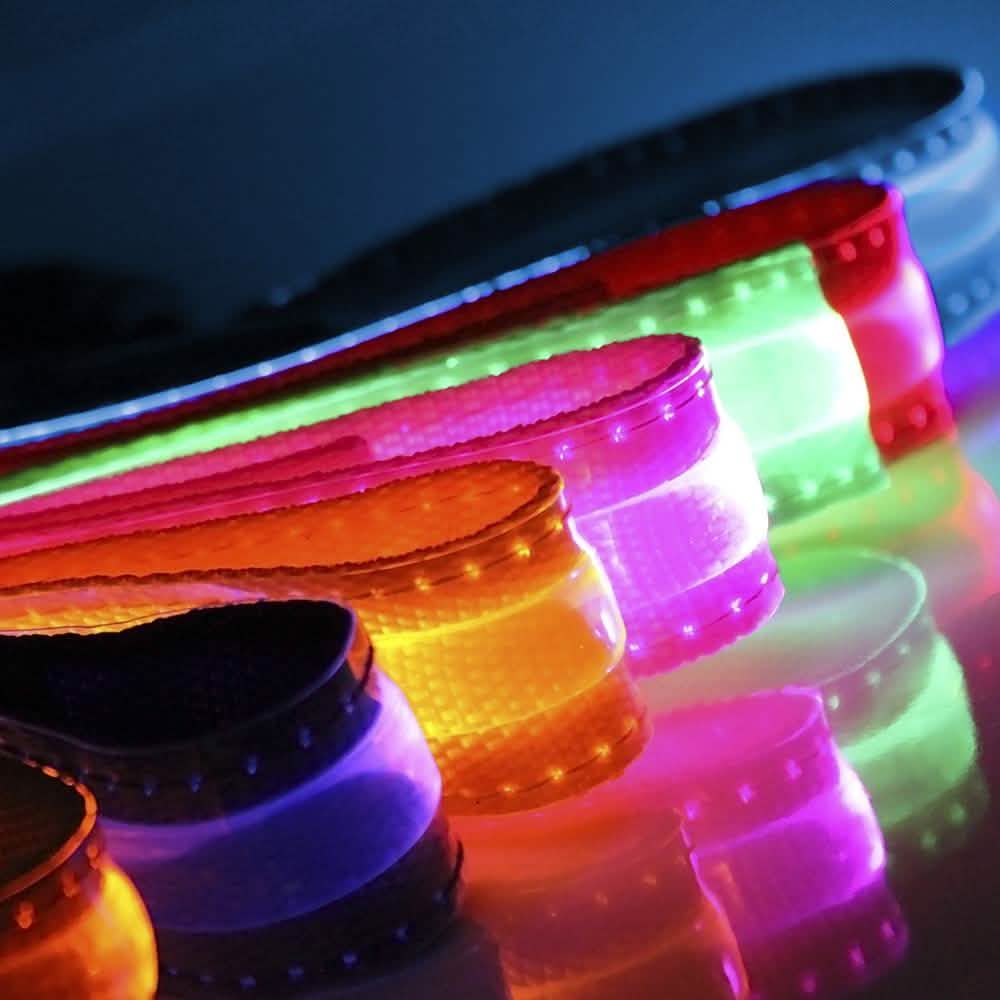 LED-Hundehalsband