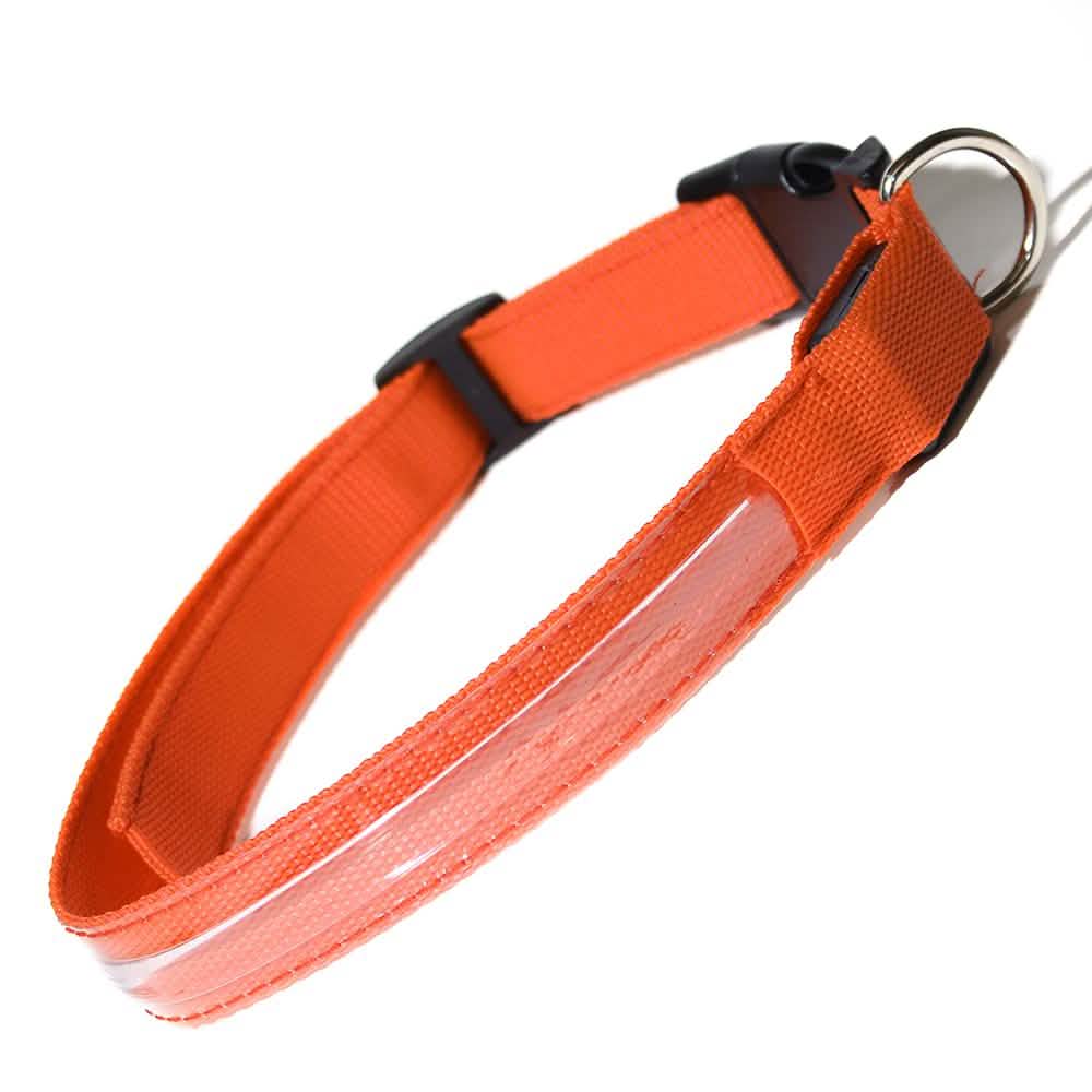 LED-Hundehalsband
