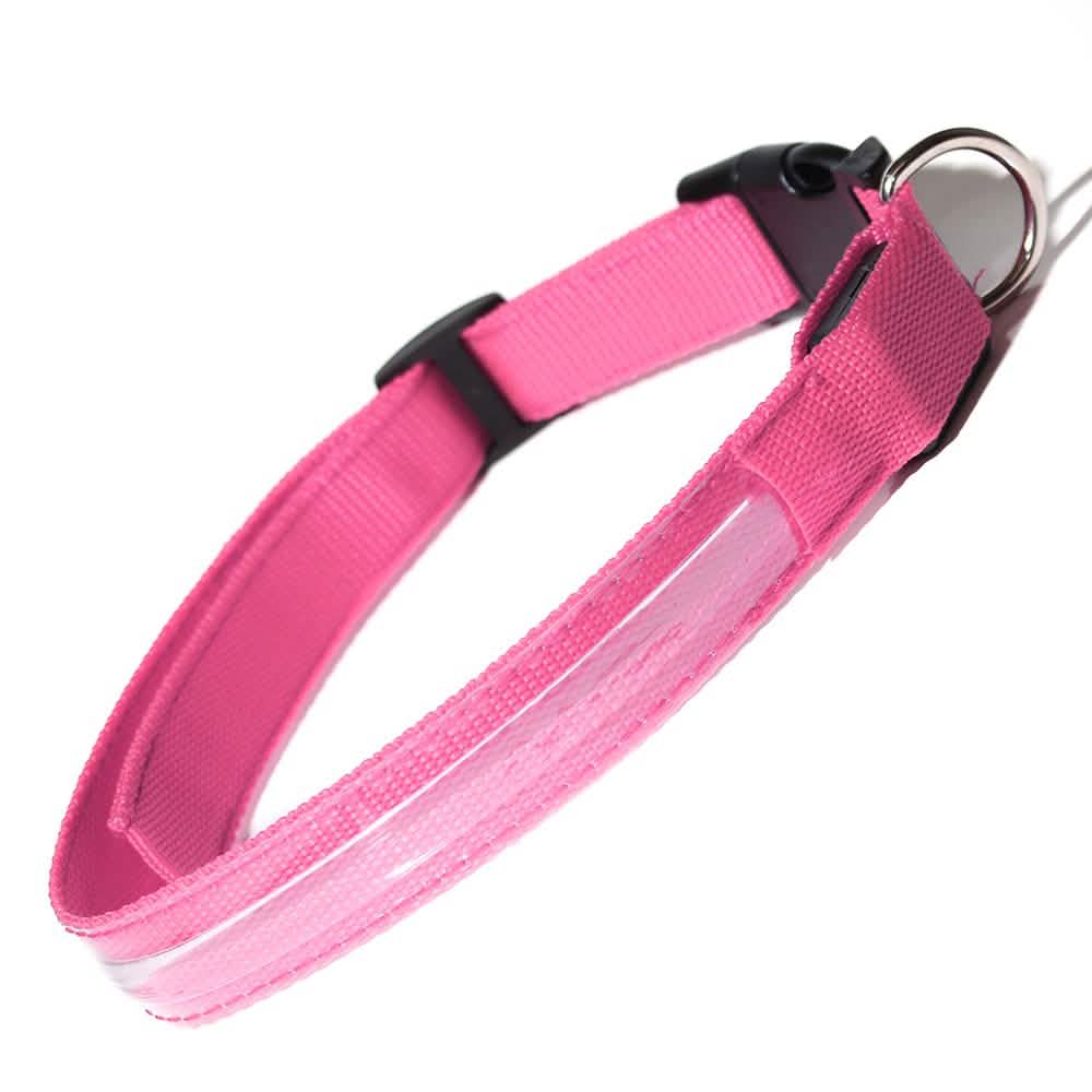 LED-Hundehalsband