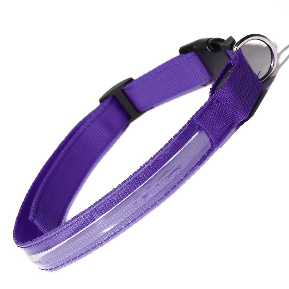 LED-Hundehalsband