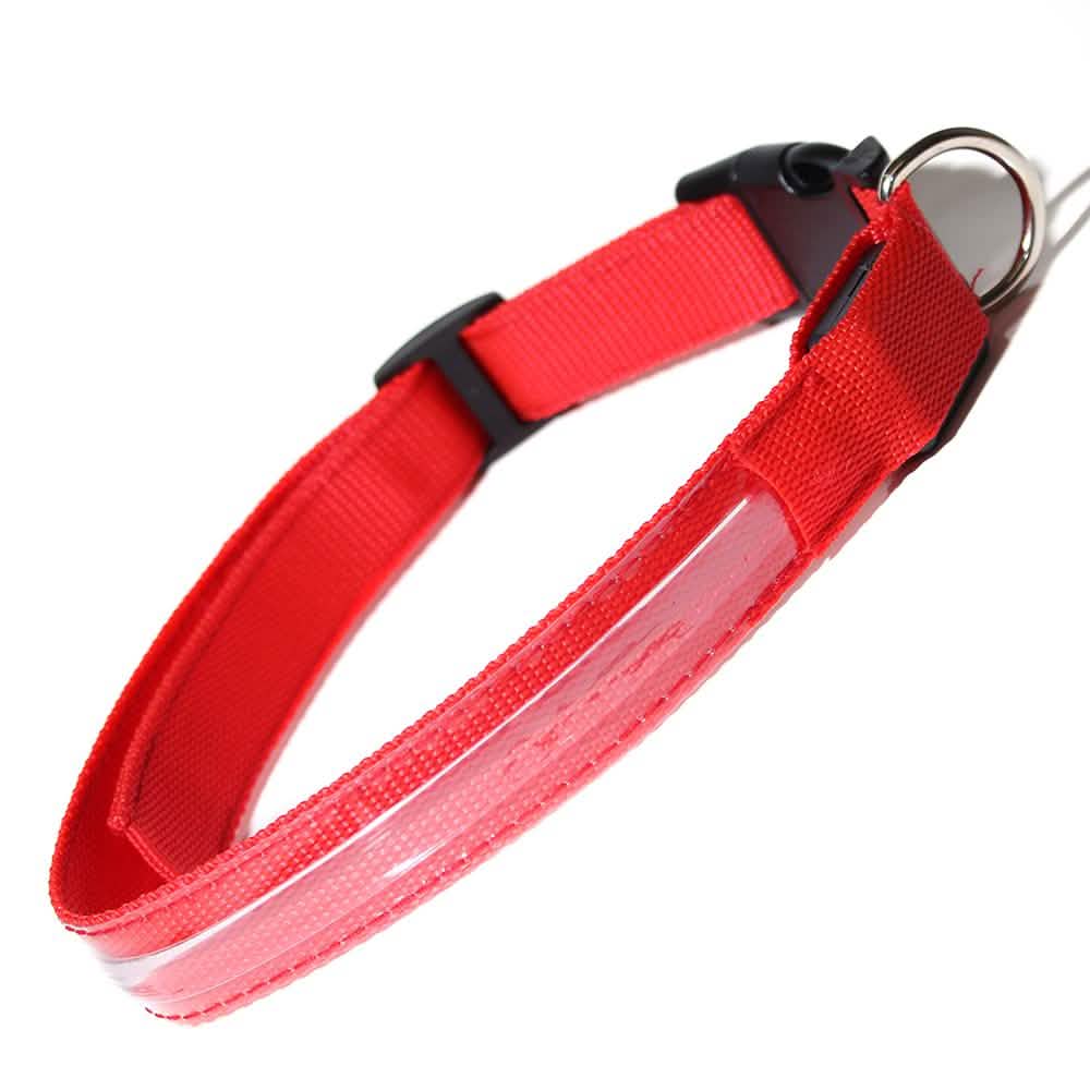 LED-Hundehalsband