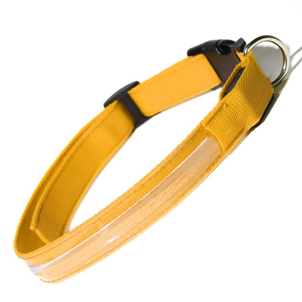 LED-Hundehalsband