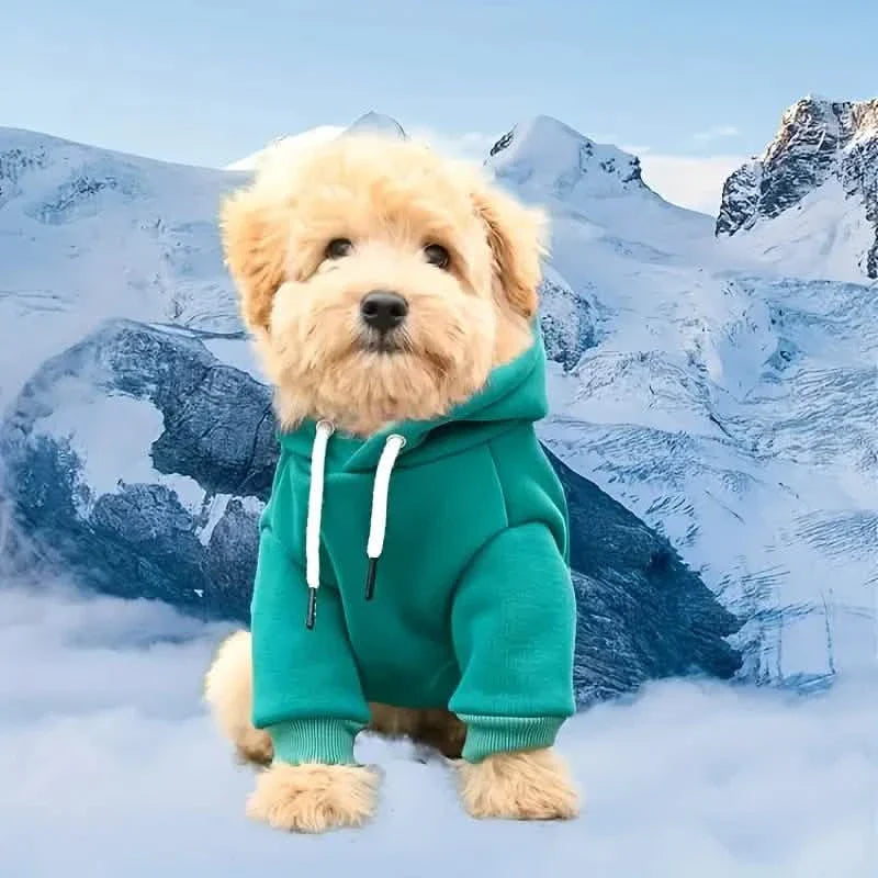 Haustier-Sweatshirt-Hoodie mit Tasche auf dem Rücken für kleine Hunde
