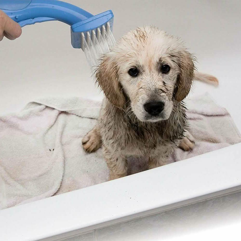Pet Zoom Bathe and Groom Indoor Outdoor Hundewaschanlage