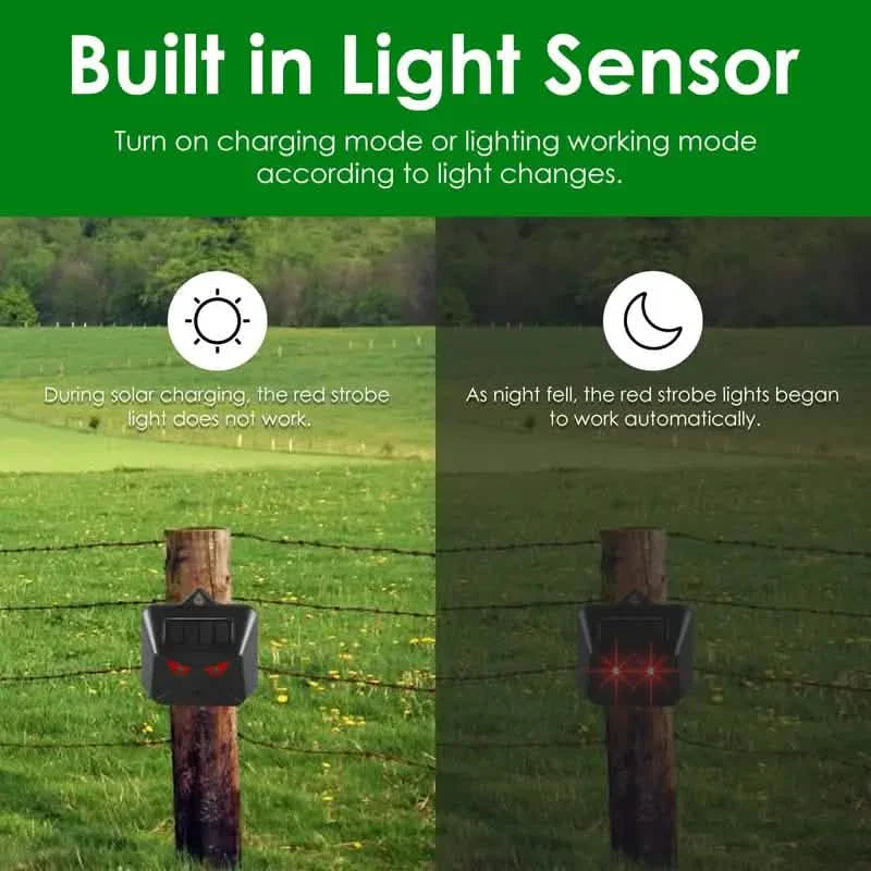 Rotes LED-Licht, wasserdicht, Raubtierabwehr für Gärten