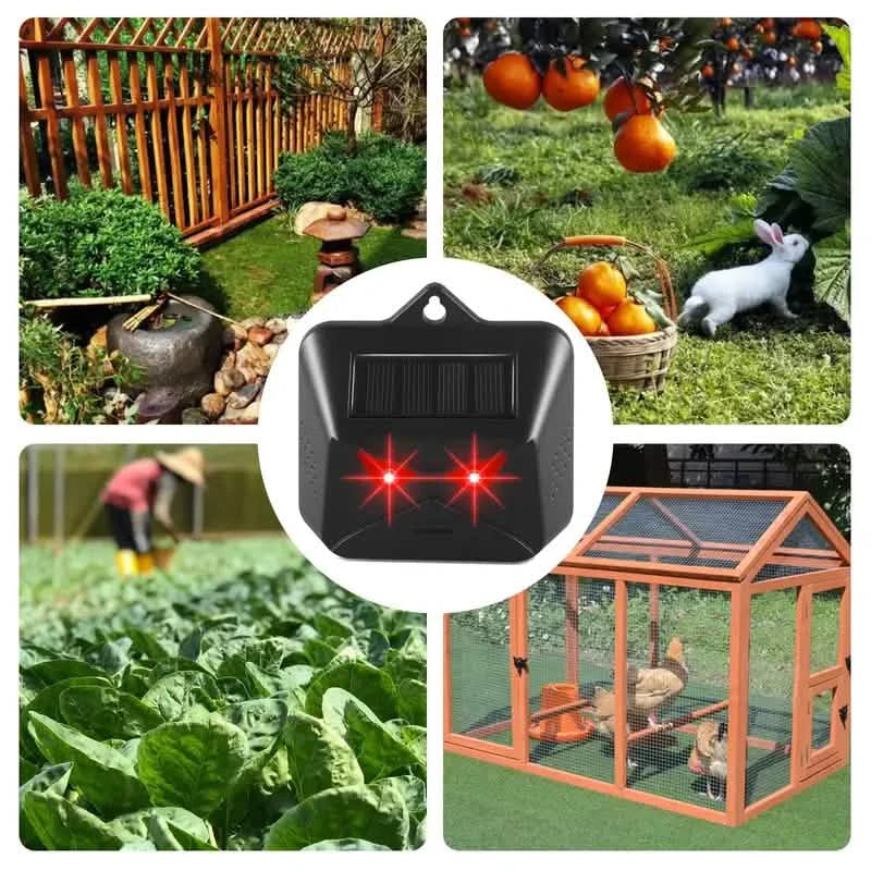 Rotes LED-Licht, wasserdicht, Raubtierabwehr für Gärten