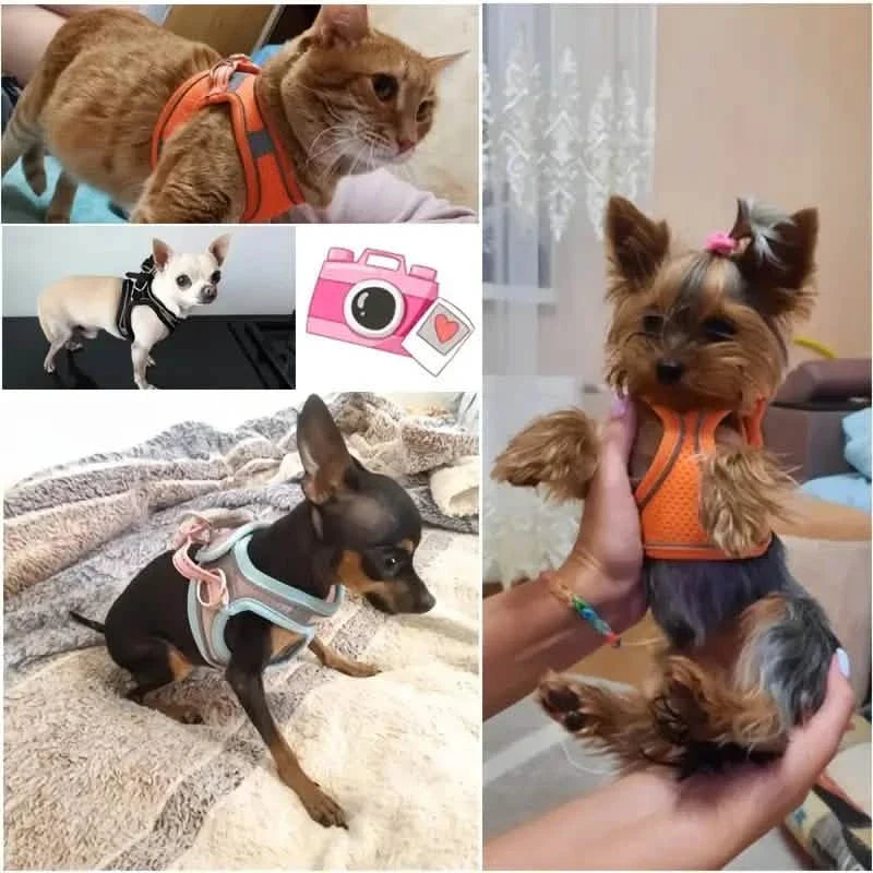 Reflektierendes Hundegeschirr mit Leine, verstellbare Geschirr-Weste, atmungsaktive Halsbänder