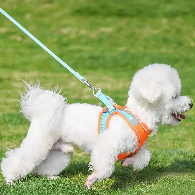 Reflektierendes Hundegeschirr mit Leine, verstellbare Geschirr-Weste, atmungsaktive Halsbänder